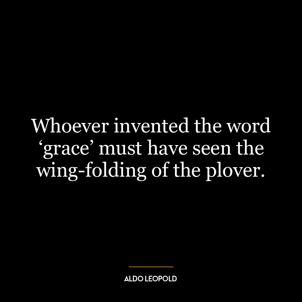 Whoever invented the word ‘grace’ must have seen the wing-folding of the plover.