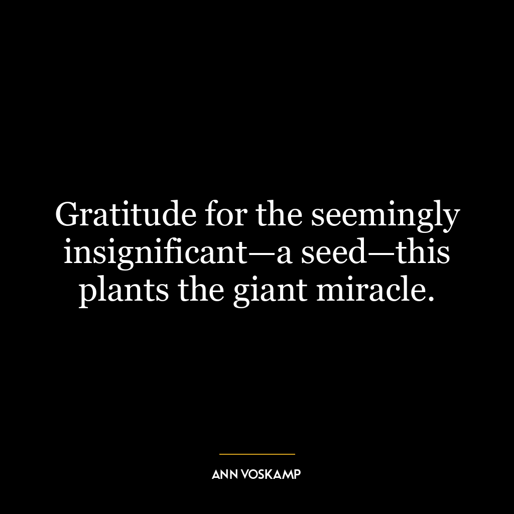 Gratitude for the seemingly insignificant—a seed—this plants the giant miracle.