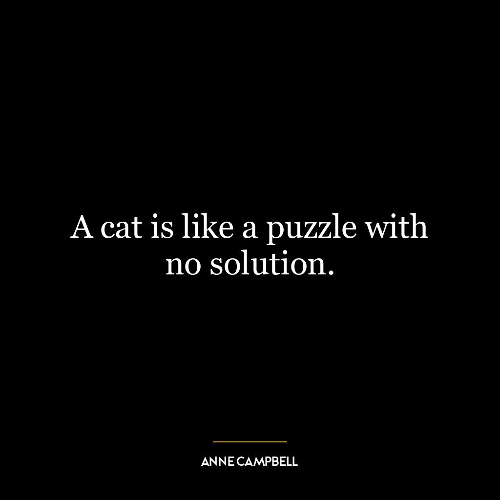 A cat is like a puzzle with no solution.