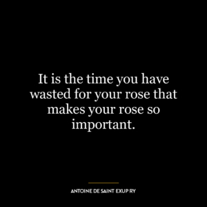 It is the time you have wasted for your rose that makes your rose so important.