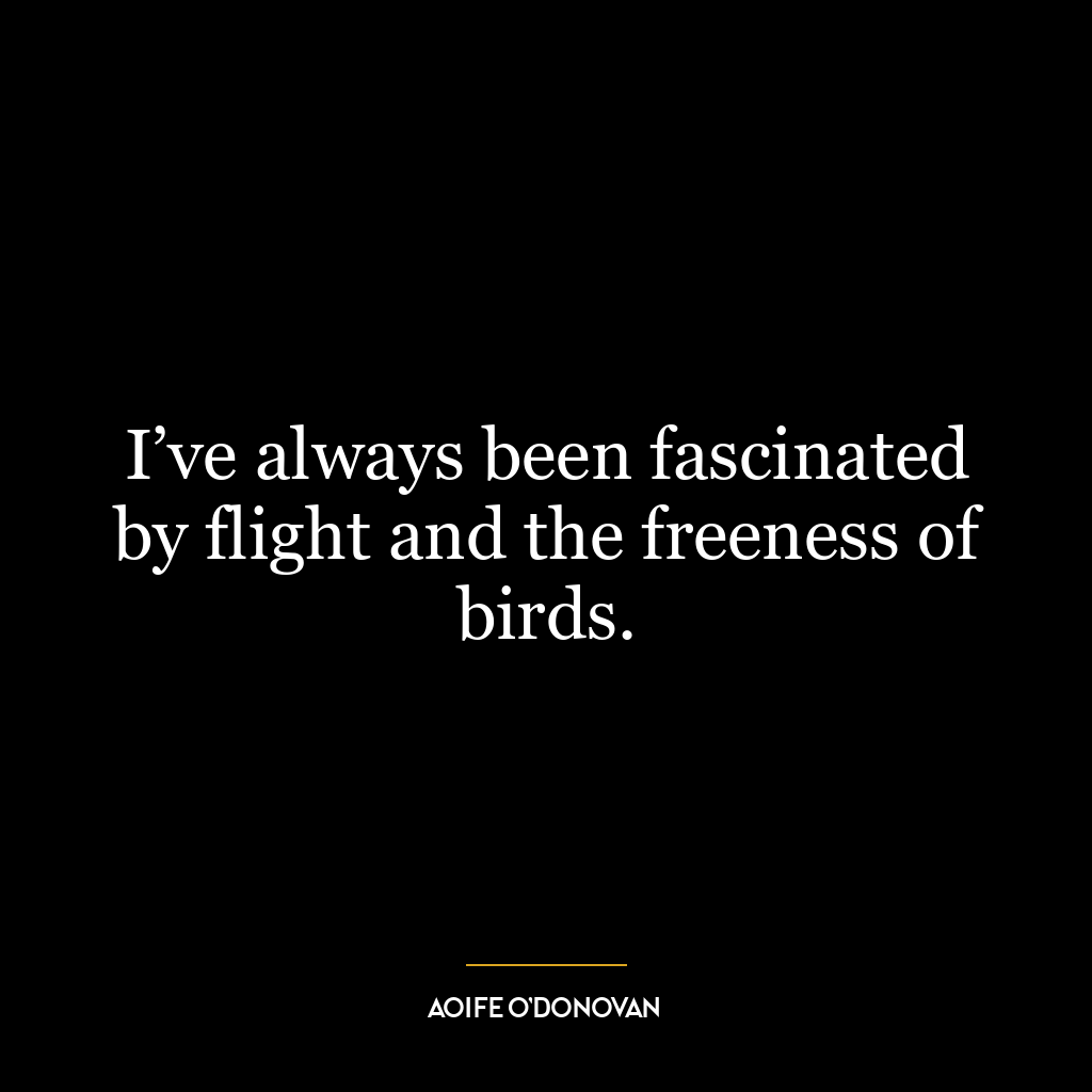 I’ve always been fascinated by flight and the freeness of birds.