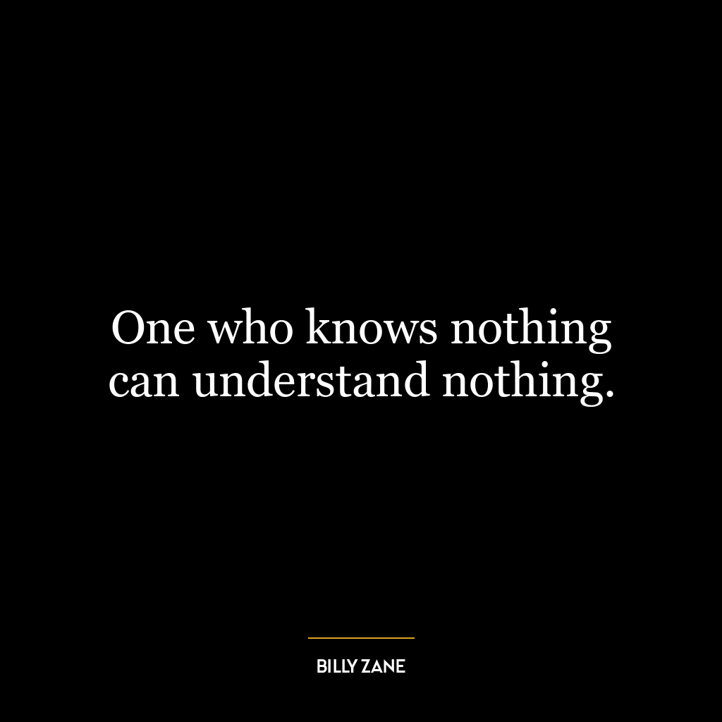 One who knows nothing can understand nothing.