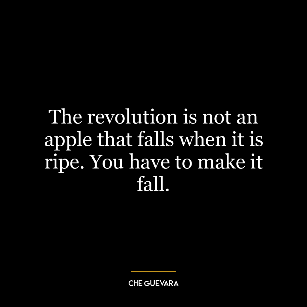 The revolution is not an apple that falls when it is ripe. You have to make it fall.