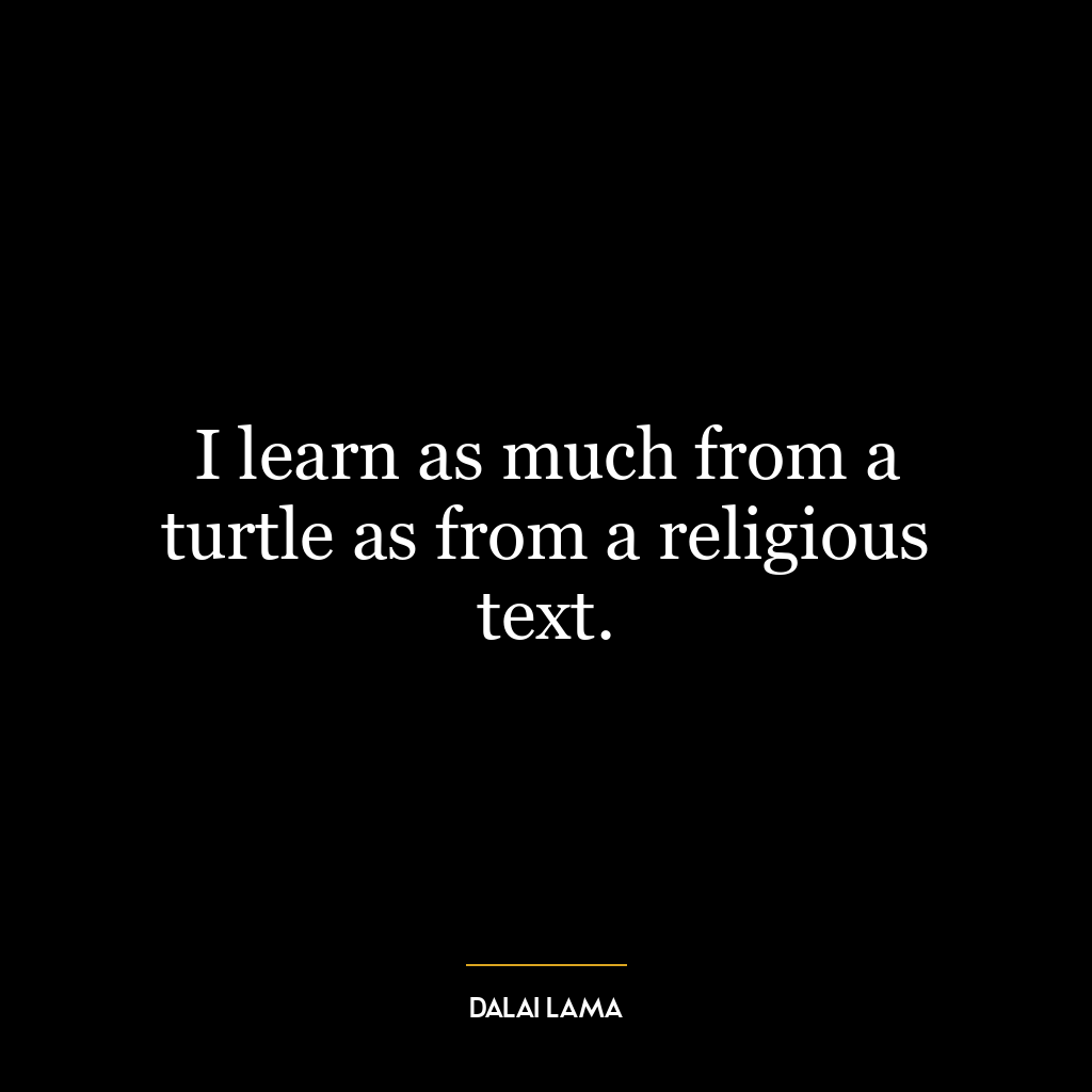 I learn as much from a turtle as from a religious text.