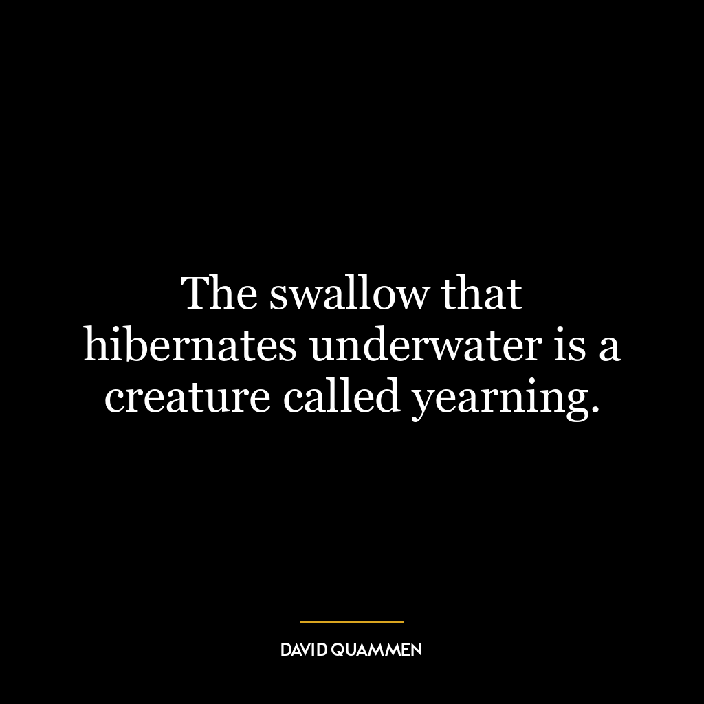 The swallow that hibernates underwater is a creature called yearning.