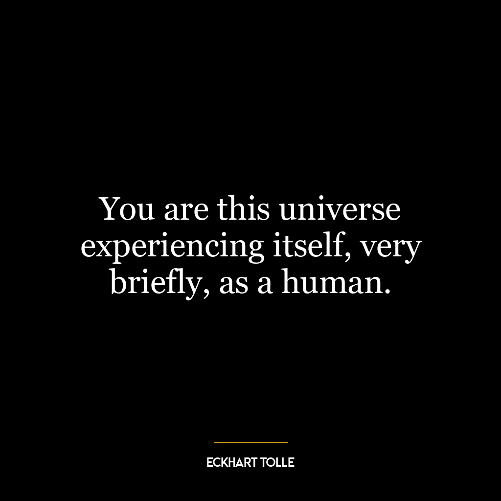 You are this universe experiencing itself, very briefly, as a human.