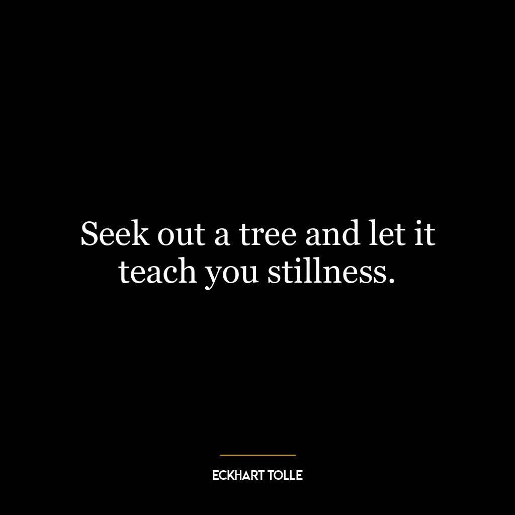 Seek out a tree and let it teach you stillness.