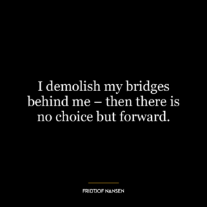 I demolish my bridges behind me – then there is no choice but forward.