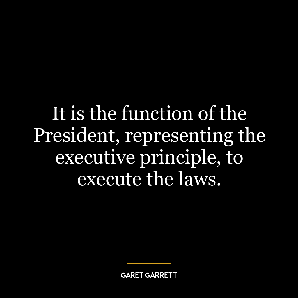 It is the function of the President, representing the executive principle, to execute the laws.