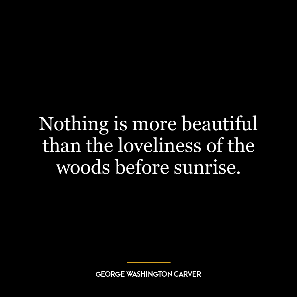 Nothing is more beautiful than the loveliness of the woods before sunrise.