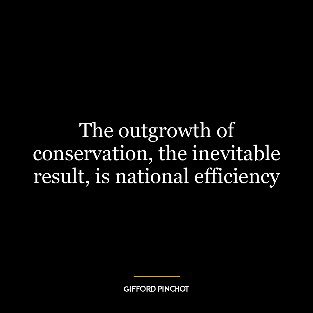 The outgrowth of conservation, the inevitable result, is national efficiency