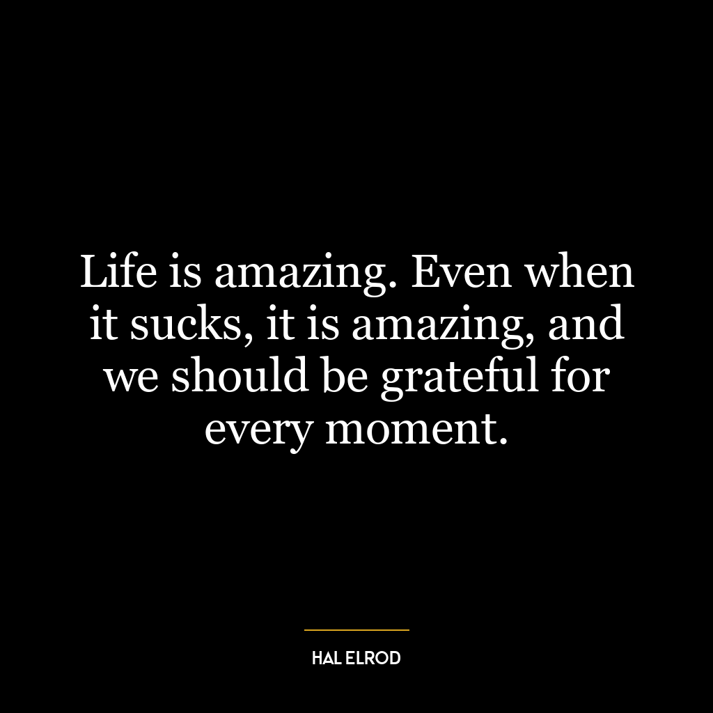 Life is amazing. Even when it sucks, it is amazing, and we should be grateful for every moment.