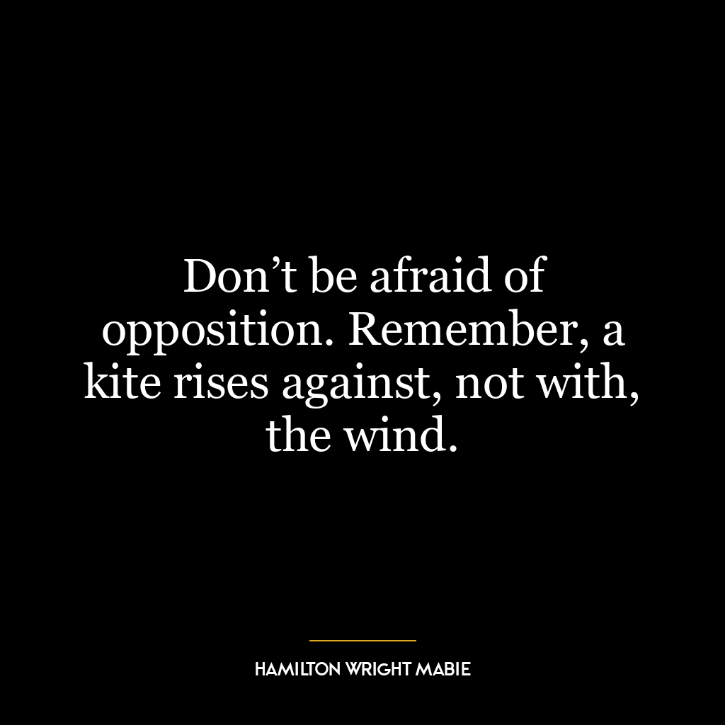 Don’t be afraid of opposition. Remember, a kite rises against, not with, the wind.