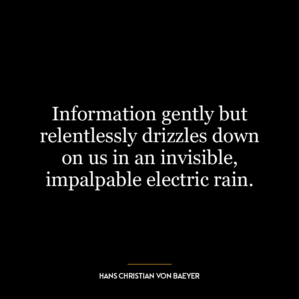 Information gently but relentlessly drizzles down on us in an invisible, impalpable electric rain.