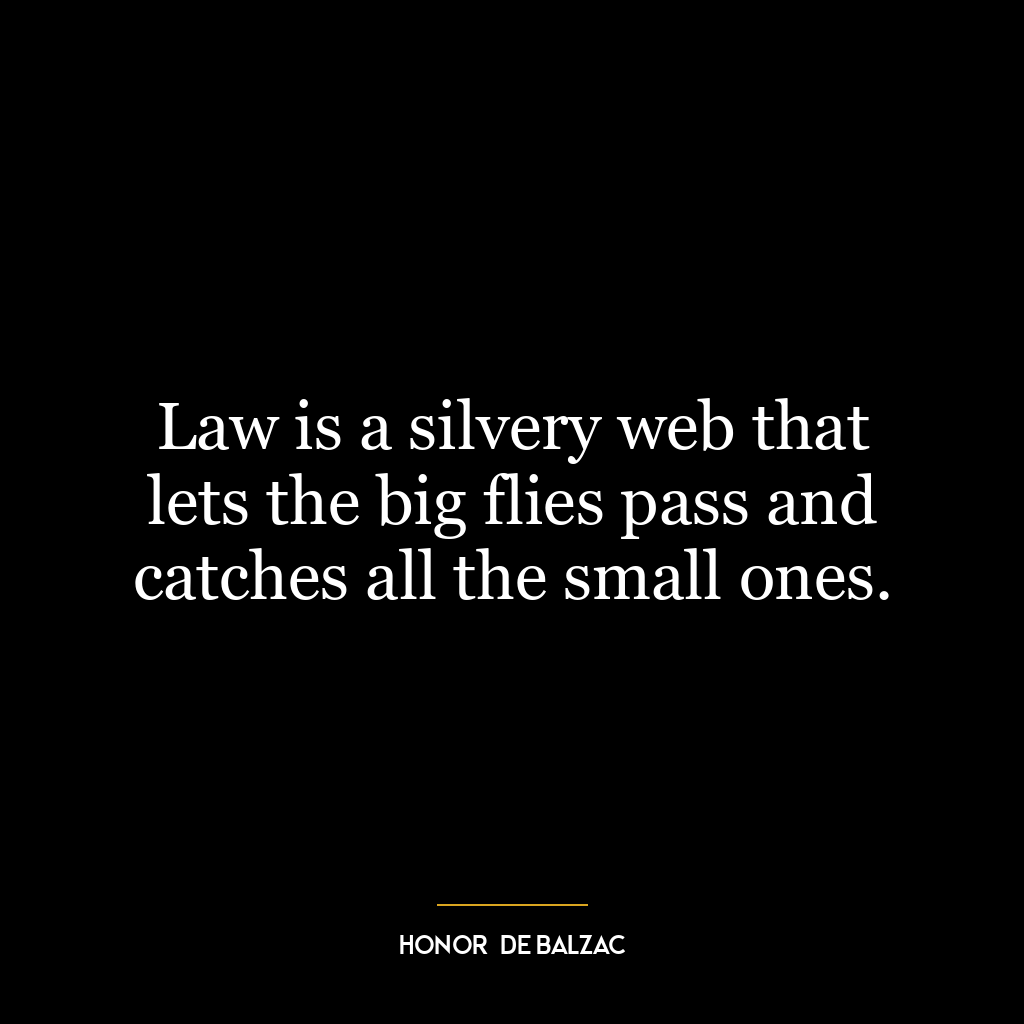 Law is a silvery web that lets the big flies pass and catches all the small ones.