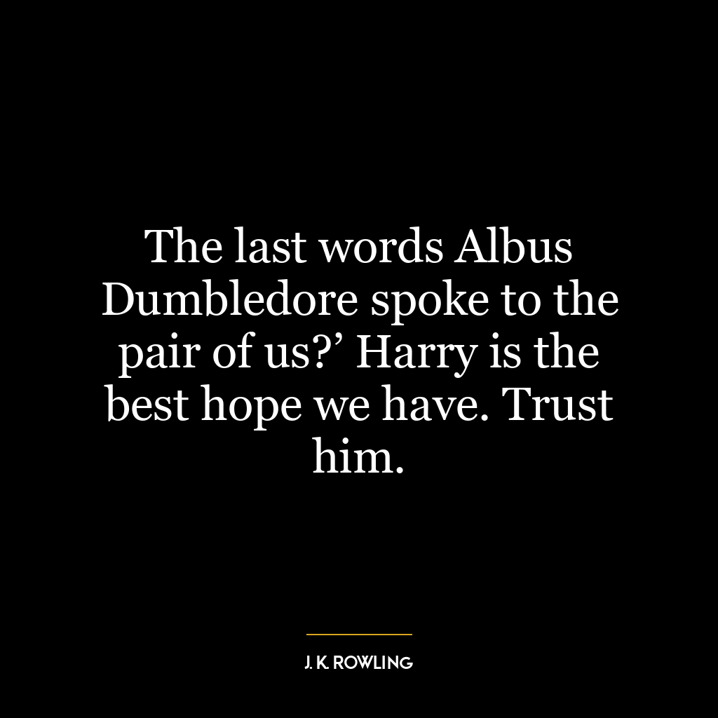 The last words Albus Dumbledore spoke to the pair of us?’ Harry is the best hope we have. Trust him.