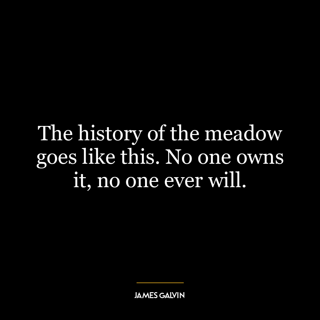 The history of the meadow goes like this. No one owns it, no one ever will.