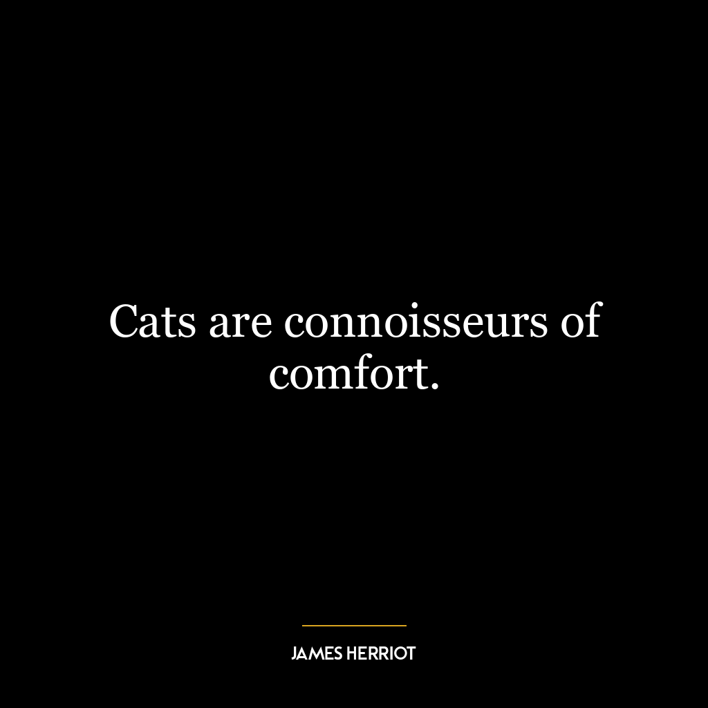 Cats are connoisseurs of comfort.