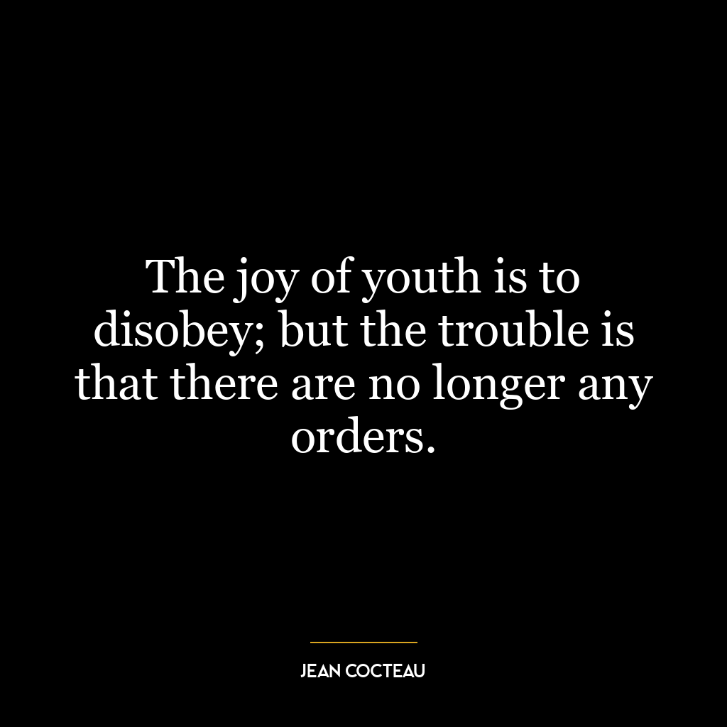 The joy of youth is to disobey; but the trouble is that there are no longer any orders.