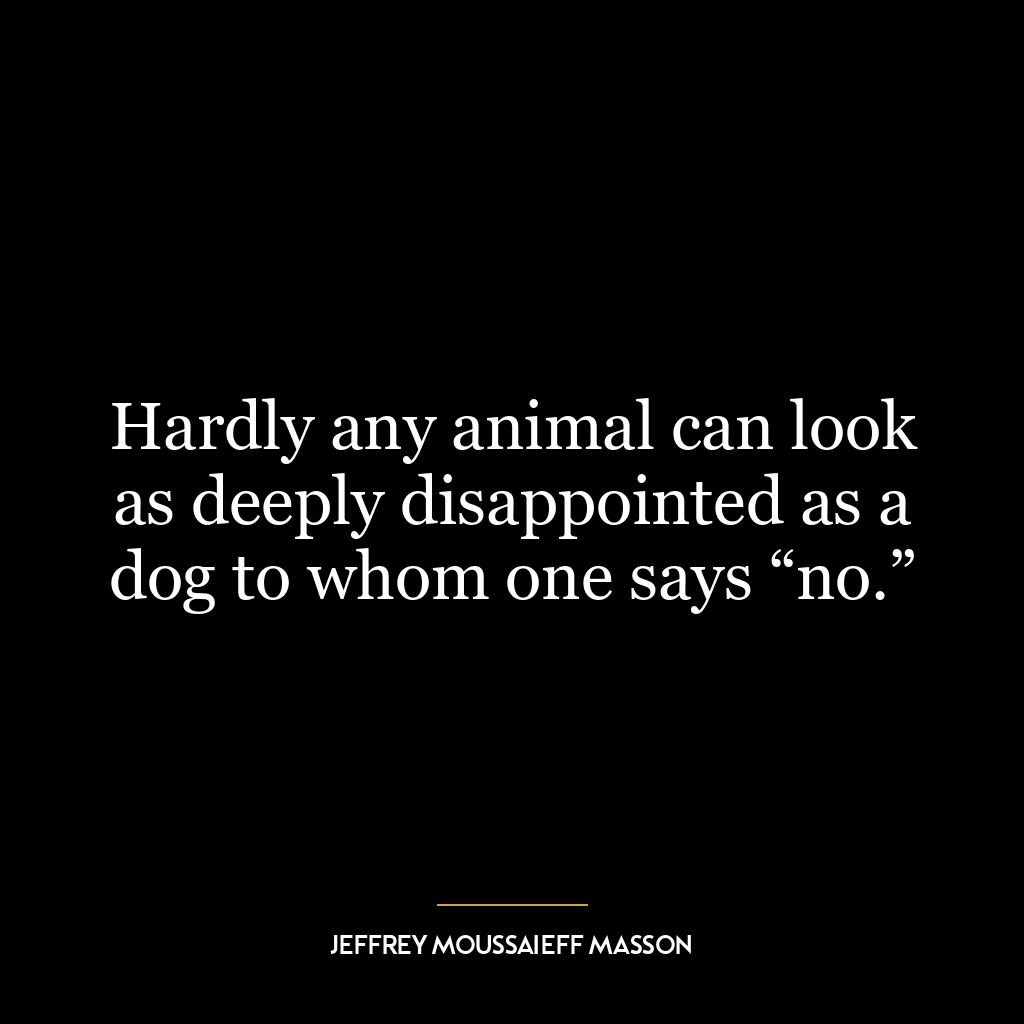 Hardly any animal can look as deeply disappointed as a dog to whom one says “no.”