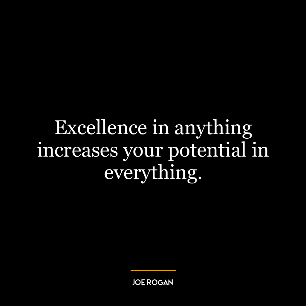 Excellence in anything increases your potential in everything.