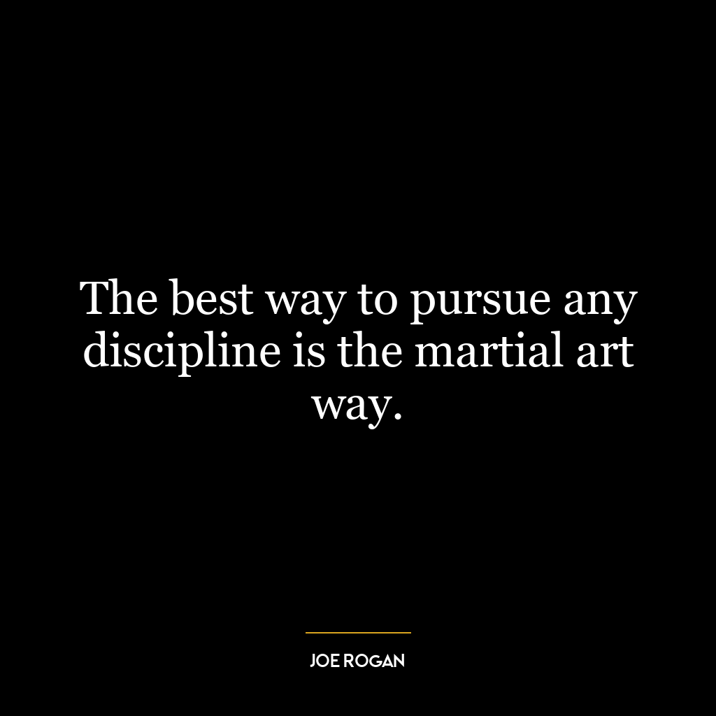 The best way to pursue any discipline is the martial art way.