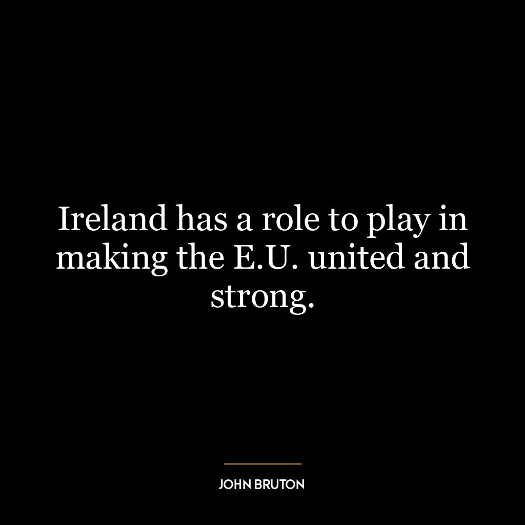 Ireland has a role to play in making the E.U. united and strong.