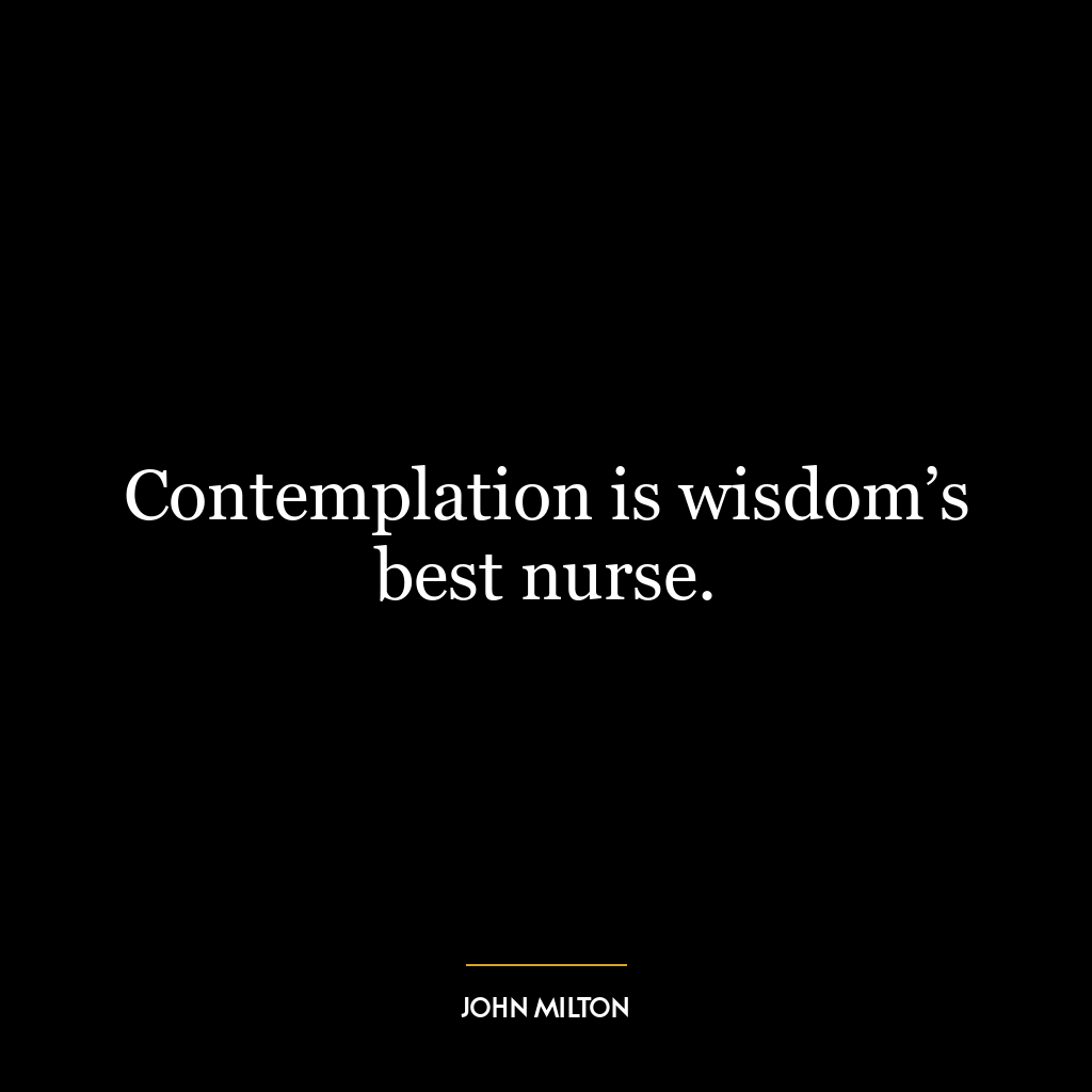 Contemplation is wisdom’s best nurse.