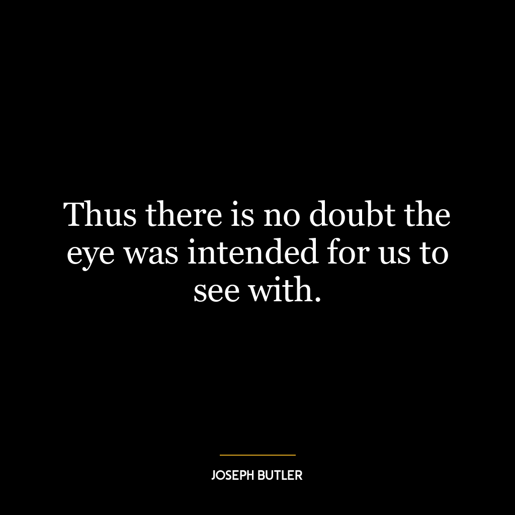 Thus there is no doubt the eye was intended for us to see with.