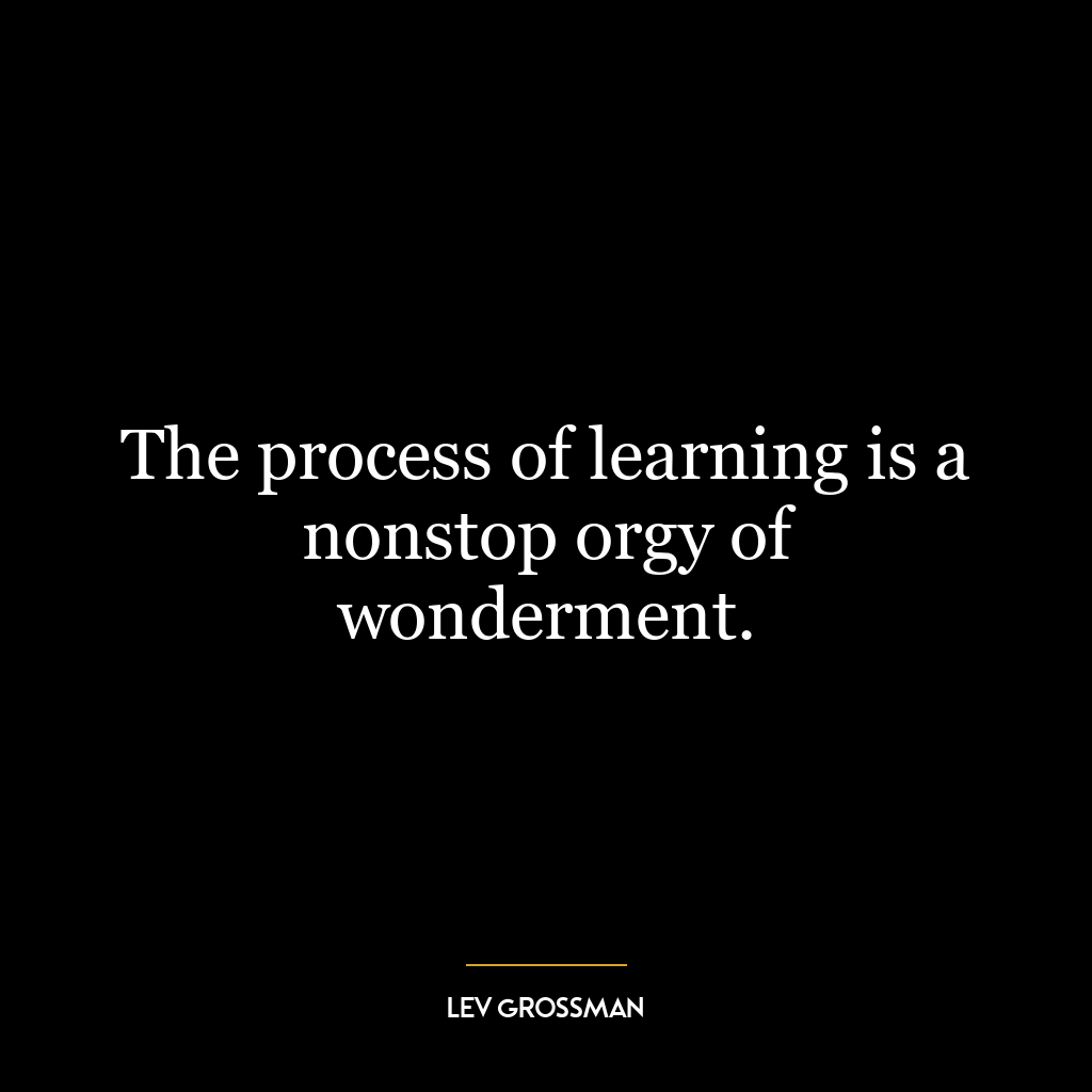 The process of learning is a nonstop orgy of wonderment.