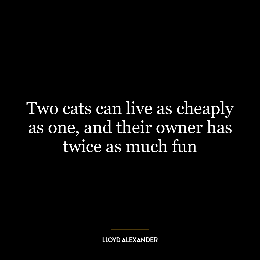 Two cats can live as cheaply as one, and their owner has twice as much fun