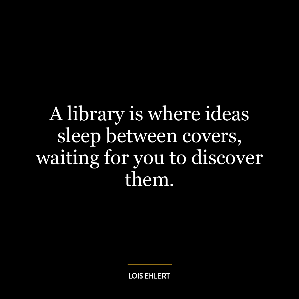 A library is where ideas sleep between covers, waiting for you to discover them.