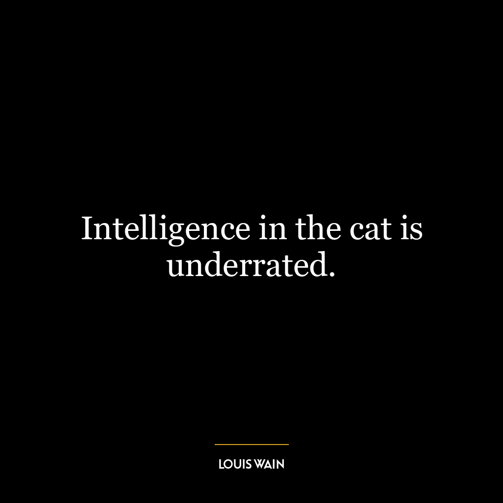 Intelligence in the cat is underrated.