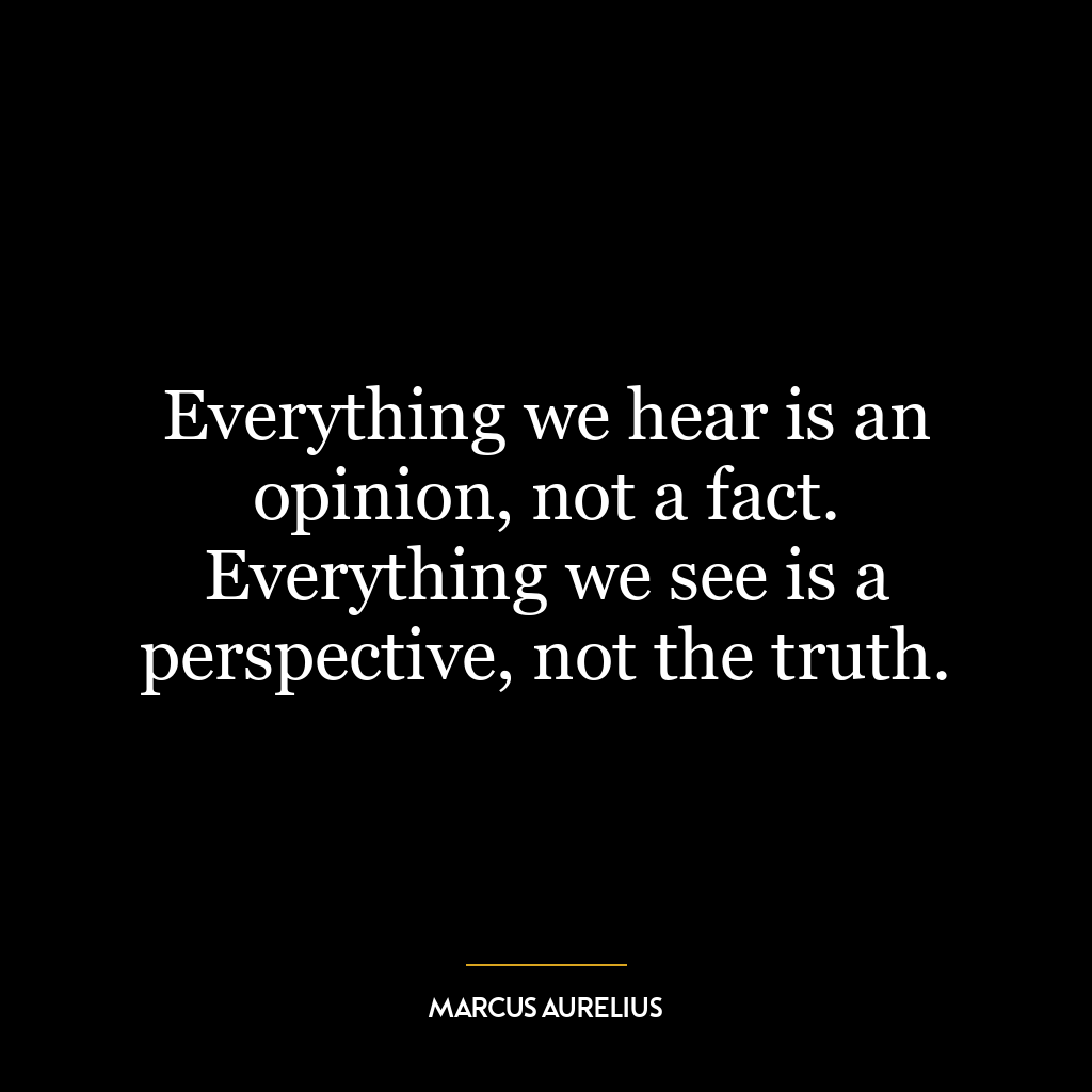 Everything we hear is an opinion, not a fact. Everything we see is a perspective, not the truth.