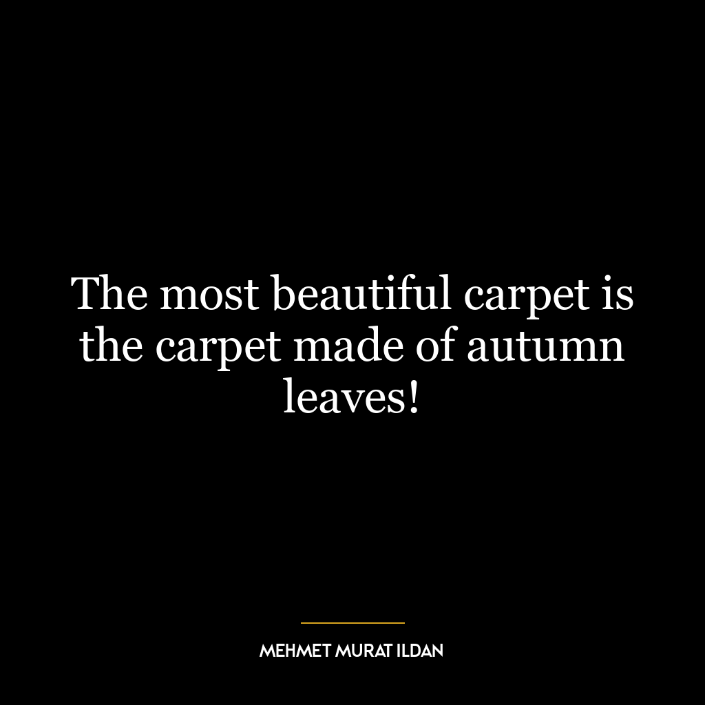 The most beautiful carpet is the carpet made of autumn leaves!