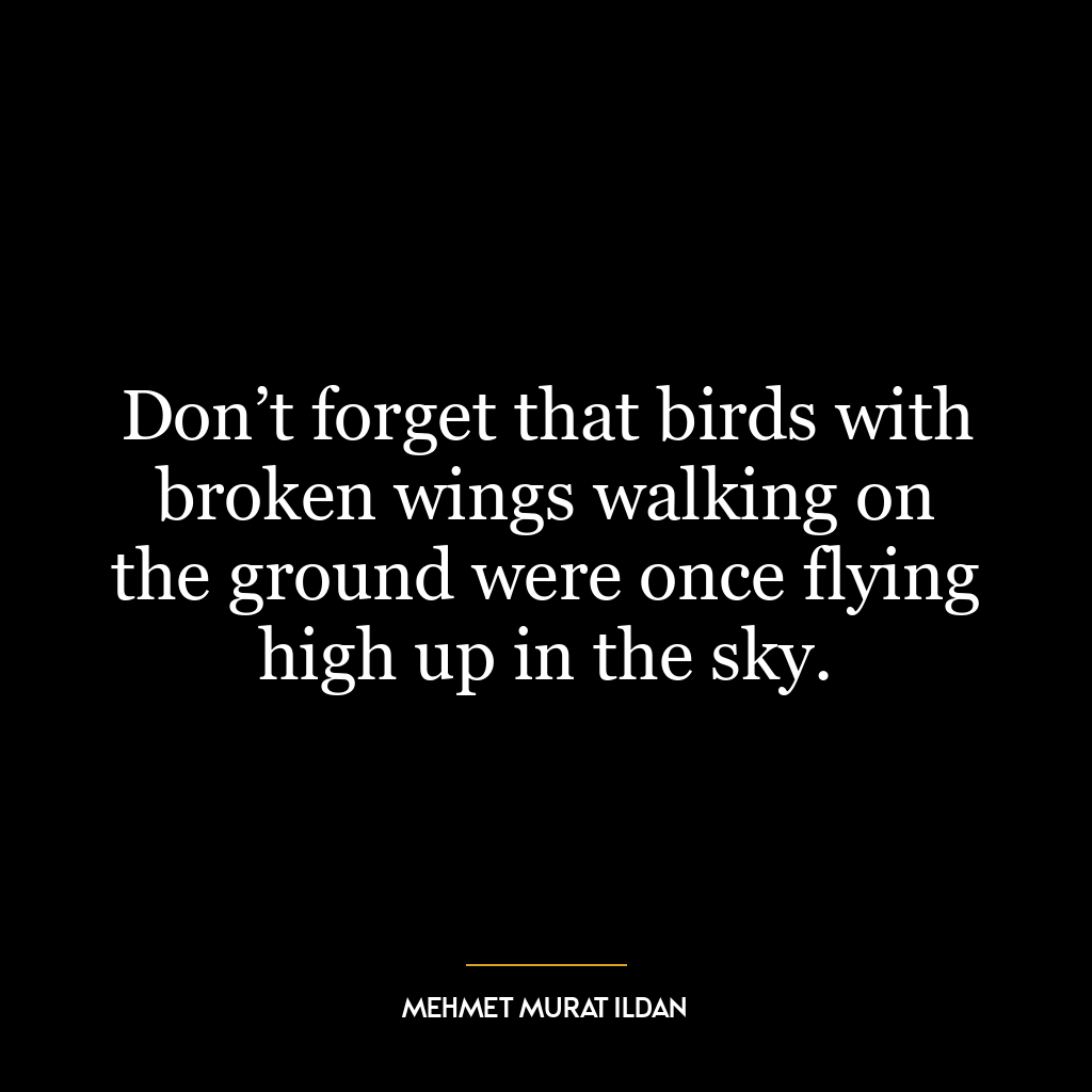 Don’t forget that birds with broken wings walking on the ground were once flying high up in the sky.