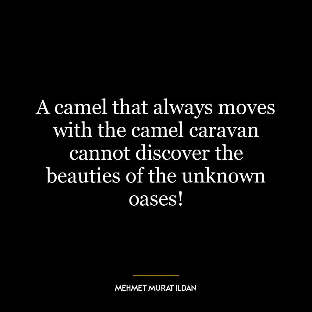 A camel that always moves with the camel caravan cannot discover the beauties of the unknown oases!