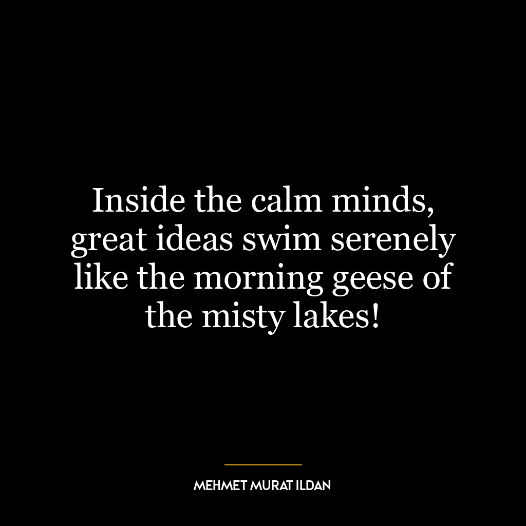 Inside the calm minds, great ideas swim serenely like the morning geese of the misty lakes!