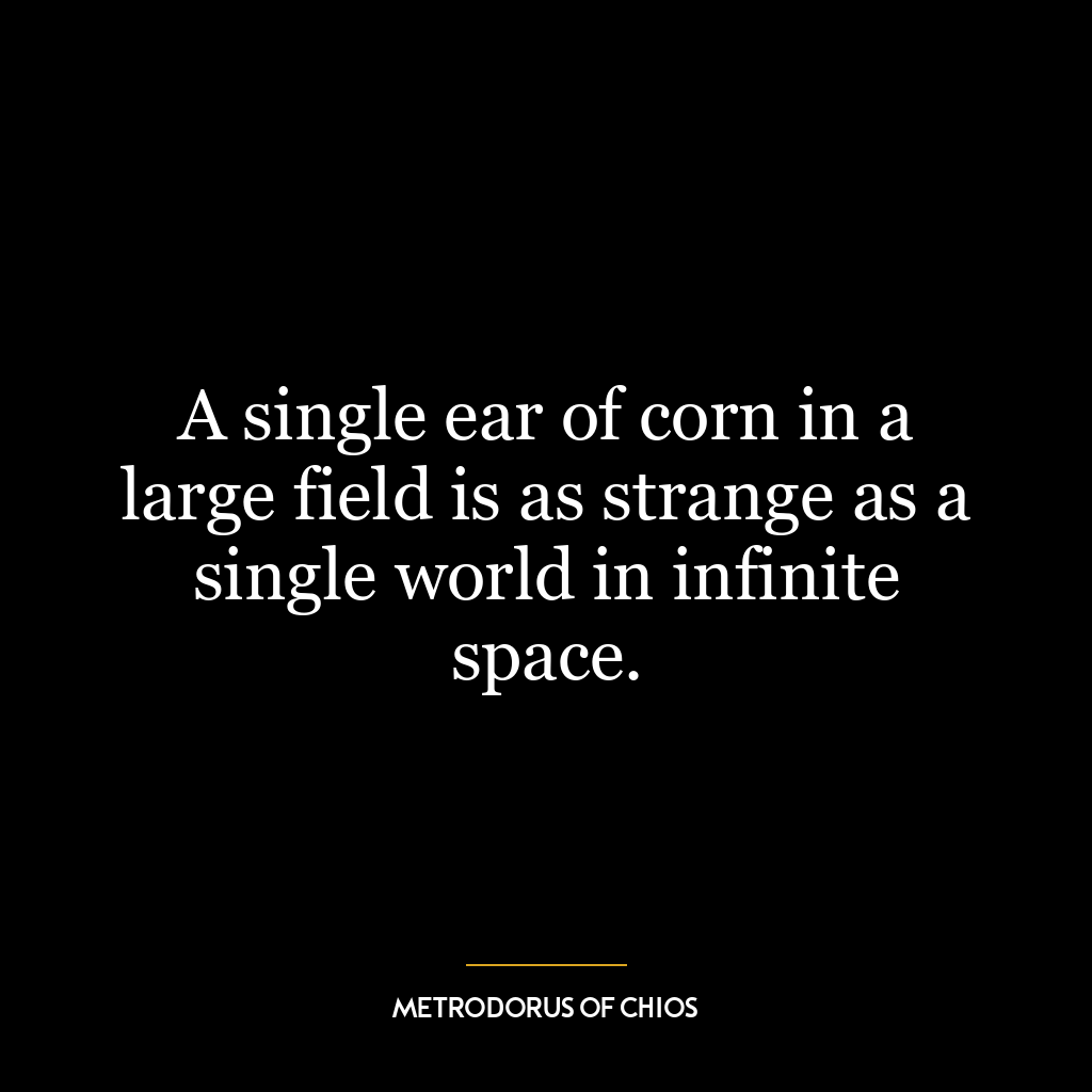 A single ear of corn in a large field is as strange as a single world in infinite space.