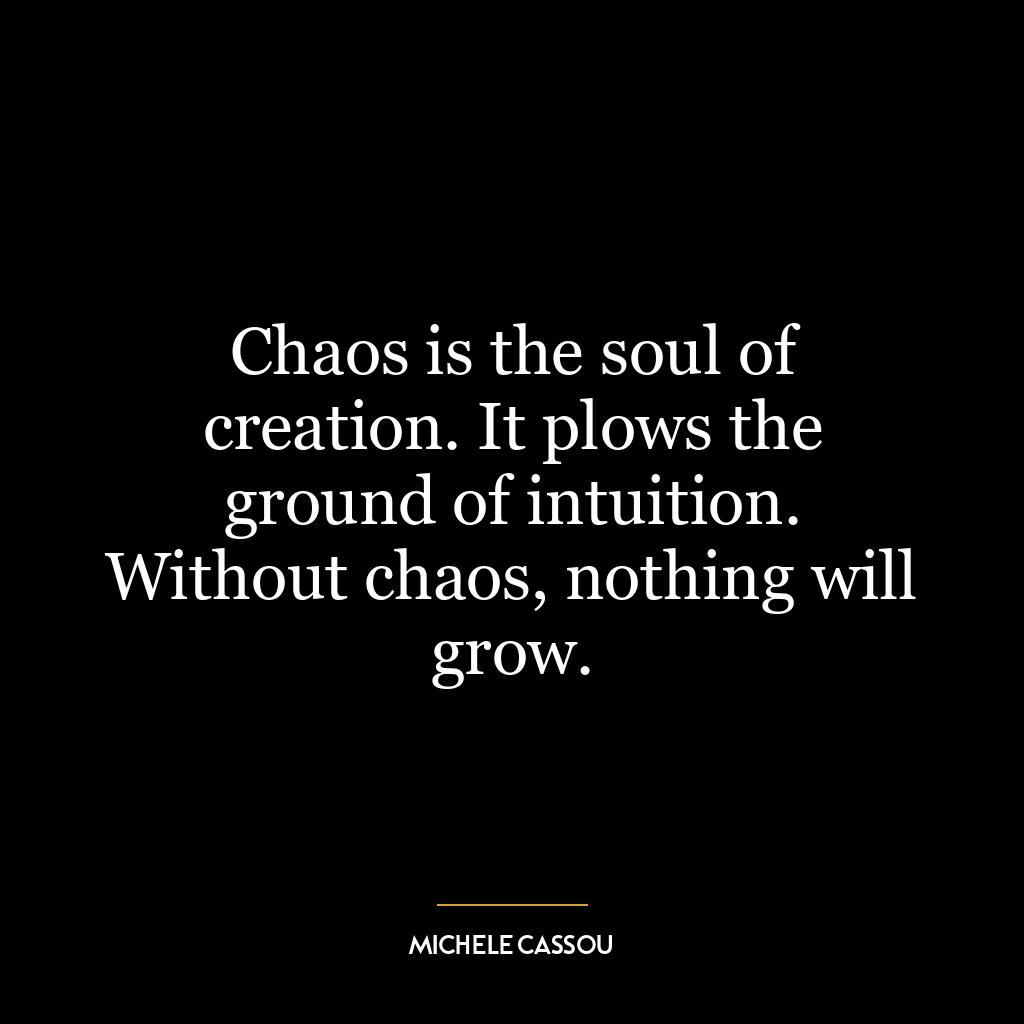 Chaos is the soul of creation. It plows the ground of intuition. Without chaos, nothing will grow.