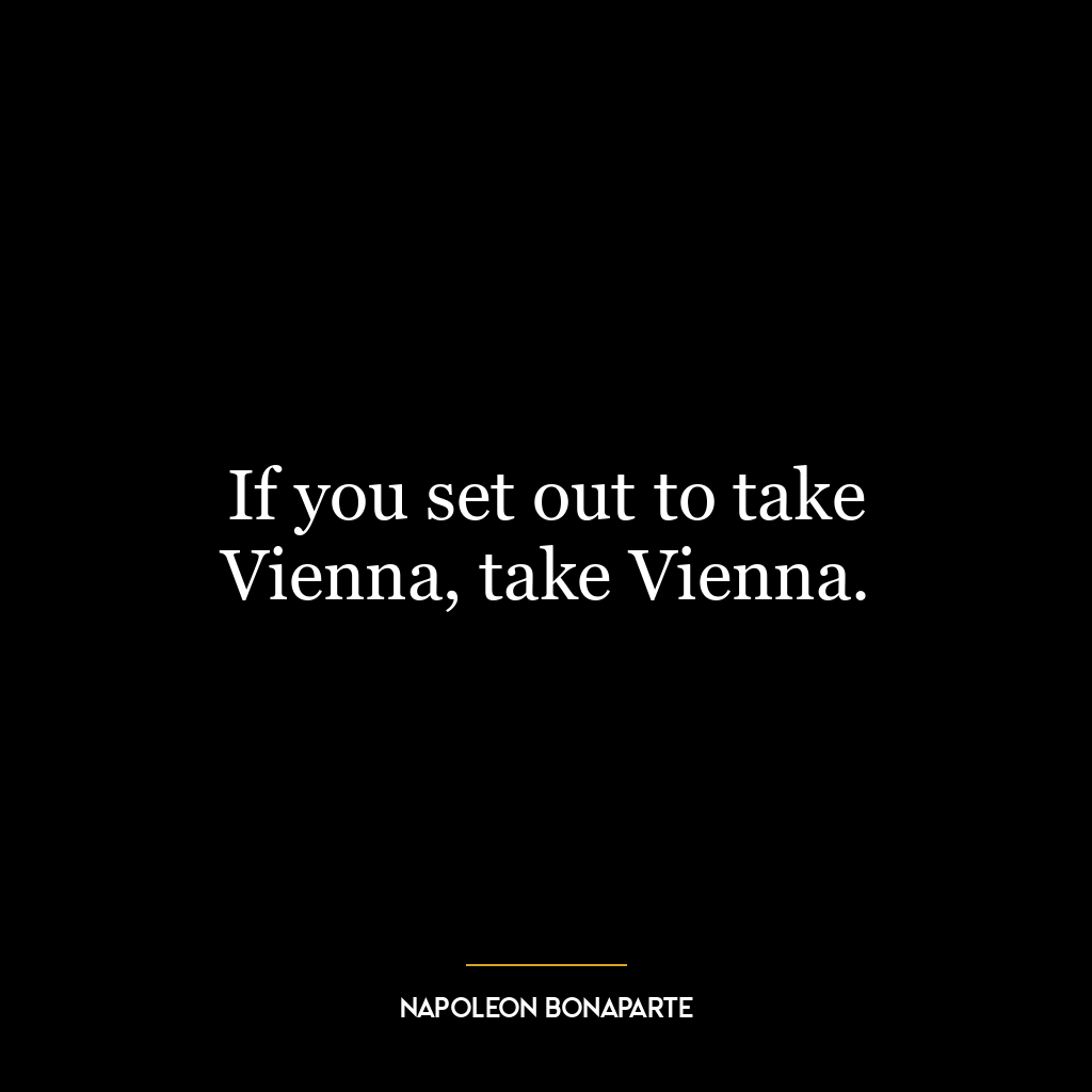 If you set out to take Vienna, take Vienna.