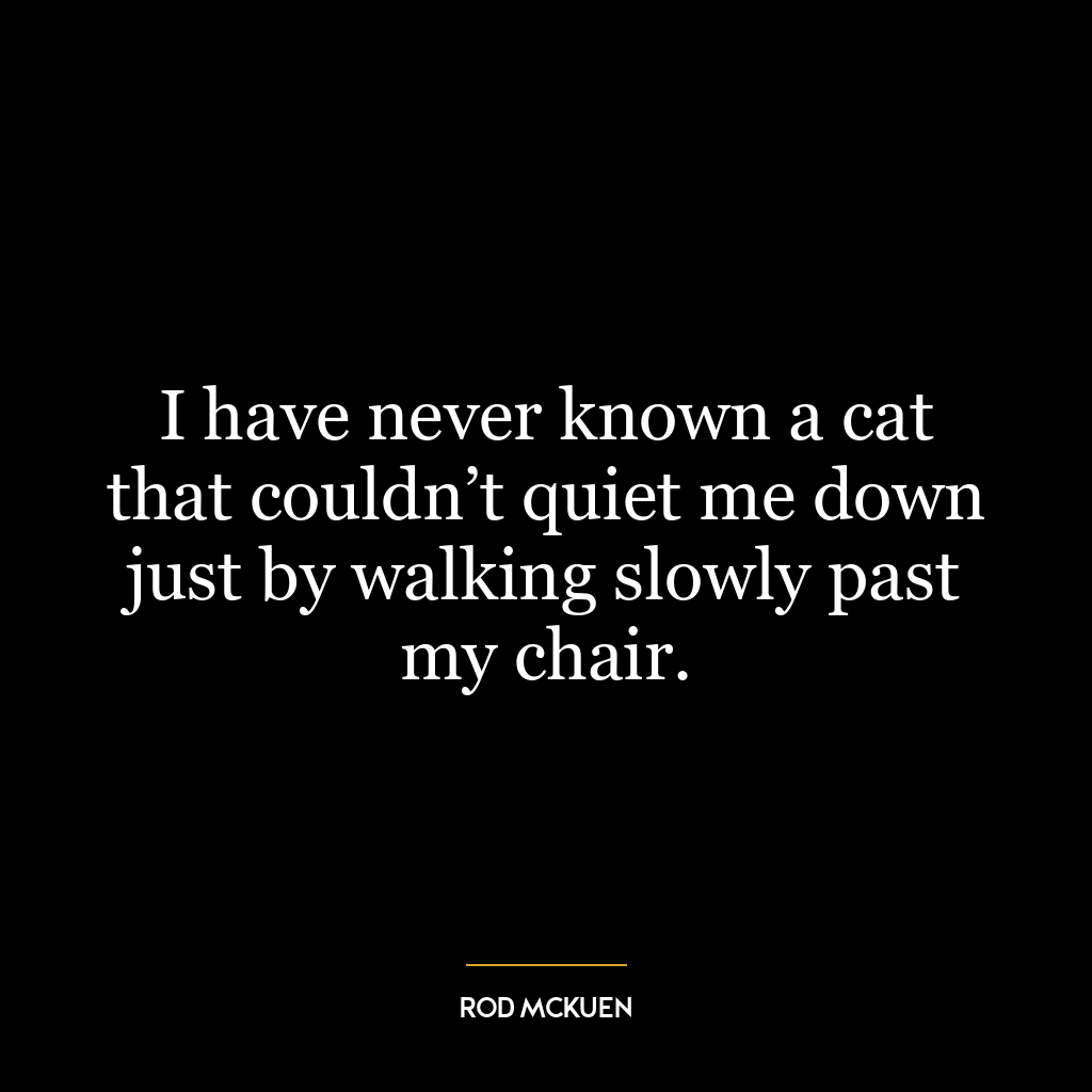 I have never known a cat that couldn’t quiet me down just by walking slowly past my chair.