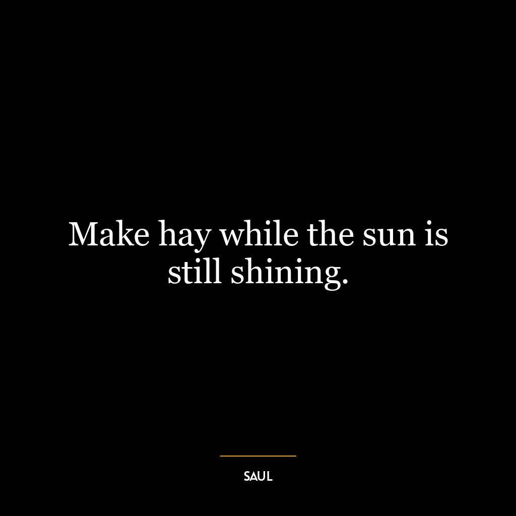 Make hay while the sun is still shining.