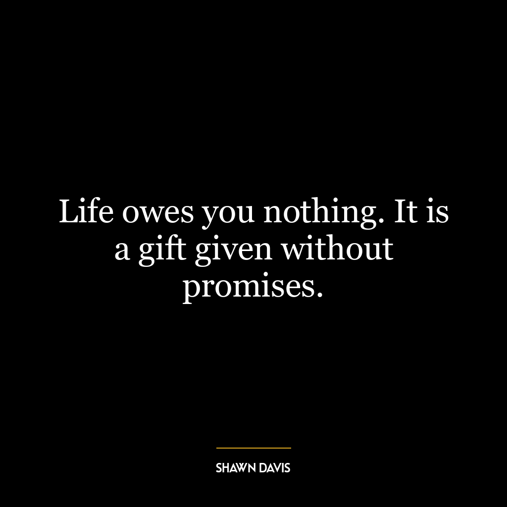 Life owes you nothing. It is a gift given without promises.