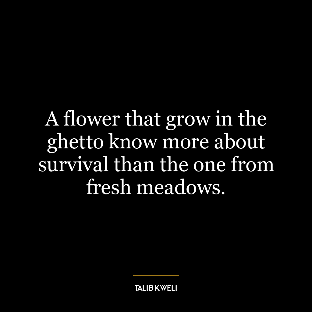 A flower that grow in the ghetto know more about survival than the one from fresh meadows.