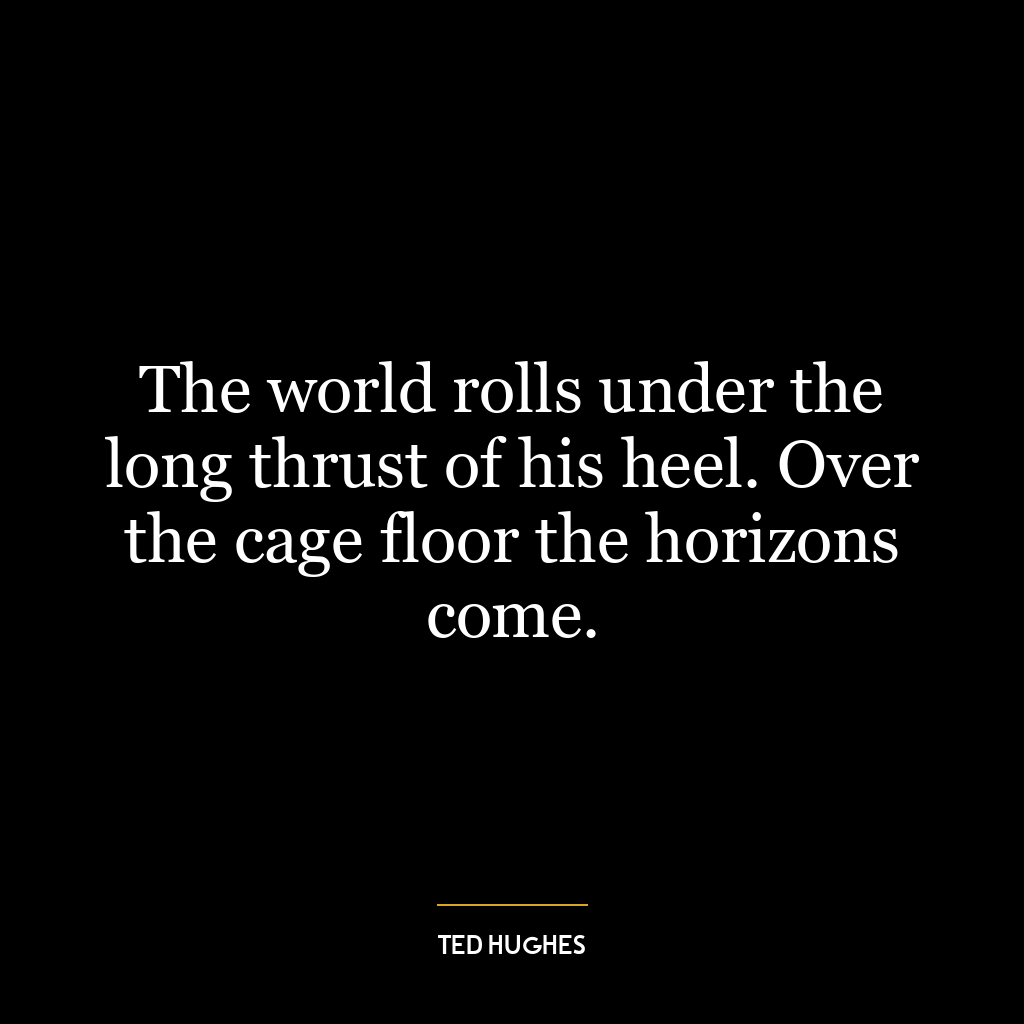 The world rolls under the long thrust of his heel. Over the cage floor the horizons come.