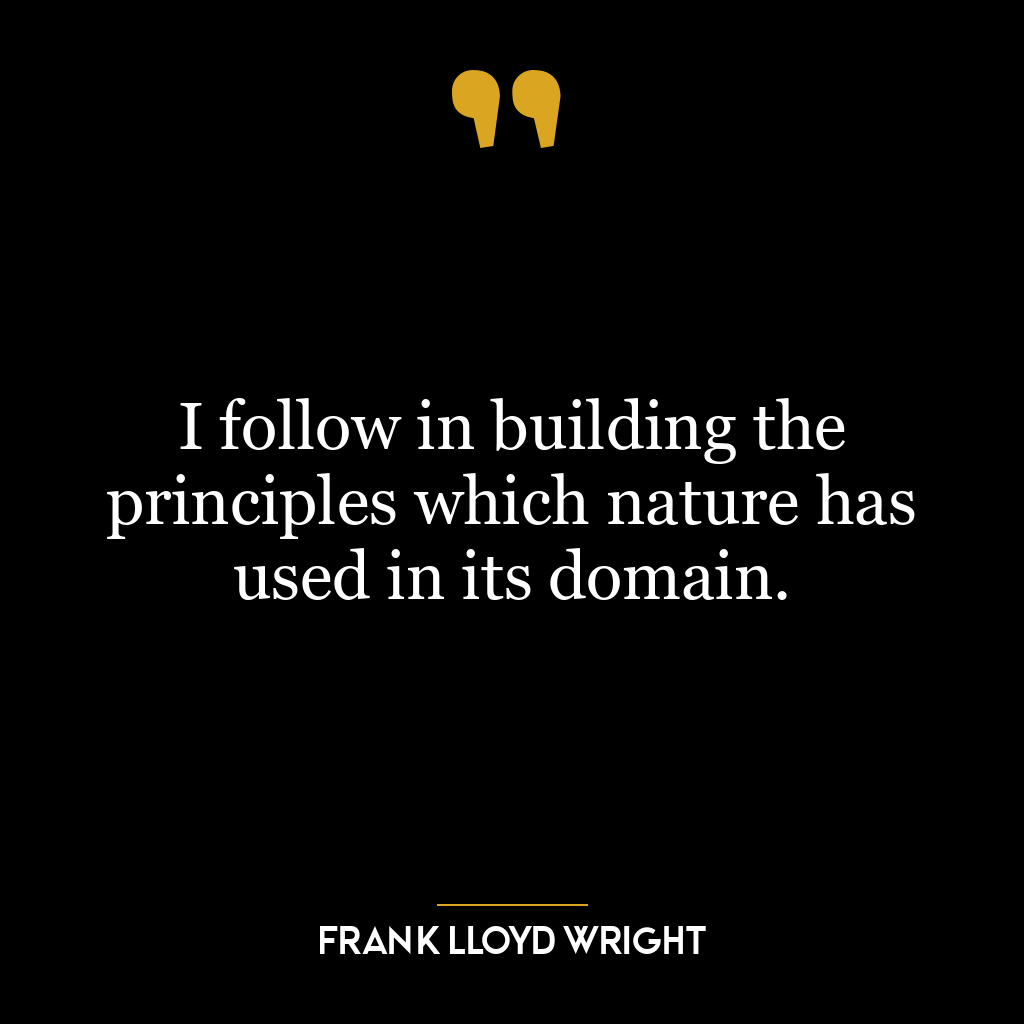 I follow in building the principles which nature has used in its domain.