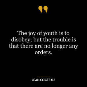 The joy of youth is to disobey; but the trouble is that there are no longer any orders.