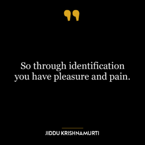 So through identification you have pleasure and pain.