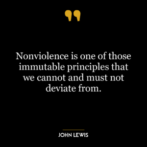 Nonviolence is one of those immutable principles that we cannot and must not deviate from.